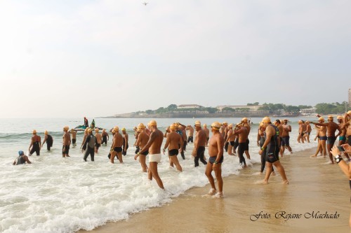 IMG_7249 IMG_7249